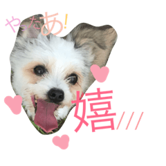 [LINEスタンプ] RIN stamp...