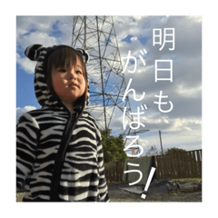 [LINEスタンプ] yn＆kn