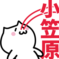 [LINEスタンプ] 小笠原(おがさわら)専用スタンプ！！！