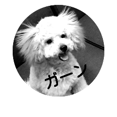 [LINEスタンプ] 今日の桃
