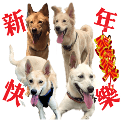 [LINEスタンプ] Dog Golden's siblings