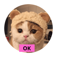 [LINEスタンプ] さらちゃんのスタンプです。