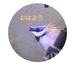 [LINEスタンプ] へばりつきスタンプ