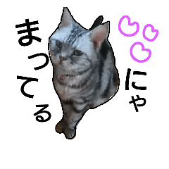 [LINEスタンプ] LOVEwannyanz