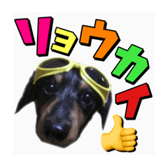 [LINEスタンプ] ラック