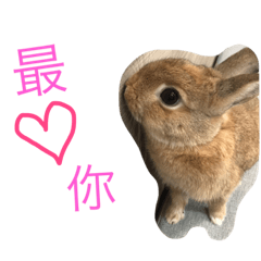[LINEスタンプ] Rabbit jump