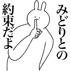 [LINEスタンプ] みどり専用！便利な名前スタンプ