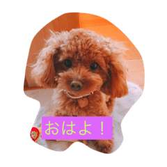 [LINEスタンプ] Apollo.Stamp