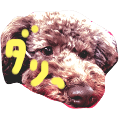 [LINEスタンプ] oneco