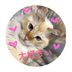 [LINEスタンプ] ゆっけすたんぷ