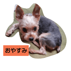 [LINEスタンプ] miran.1