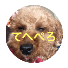 [LINEスタンプ] うちのハル可愛すぎやしませんか