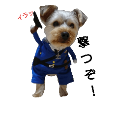 [LINEスタンプ] ちゃ太郎。