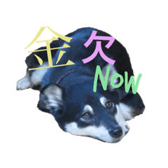 [LINEスタンプ] kota ＆baby  stamp