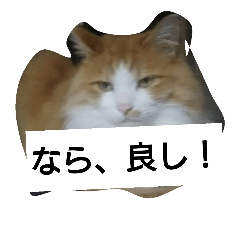 [LINEスタンプ] habuchi
