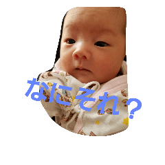 [LINEスタンプ] aminotakara