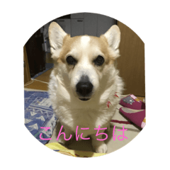 [LINEスタンプ] 瑠斗とまぁる