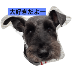 [LINEスタンプ] friendly shin