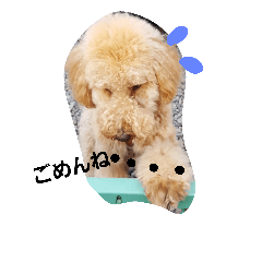 [LINEスタンプ] たらの日常