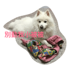 [LINEスタンプ] Abby is