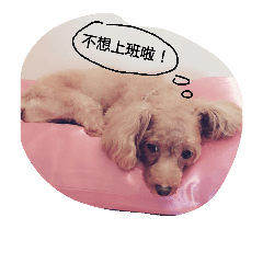 [LINEスタンプ] QB-my dog