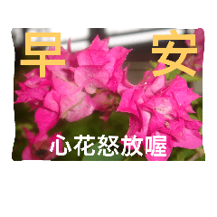 [LINEスタンプ] good morning/flowers