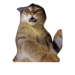 [LINEスタンプ] facepalm animal
