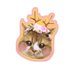 [LINEスタンプ] Ruby cat.