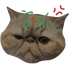 [LINEスタンプ] lovely cat-garfield