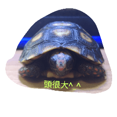 [LINEスタンプ] pets in our room