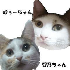 [LINEスタンプ] むぅーちゃん＆ちぃーちゃん