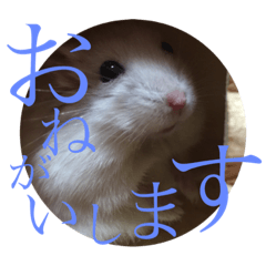 [LINEスタンプ] 白きネズミと…