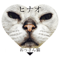 [LINEスタンプ] ヒナオ