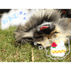[LINEスタンプ] toto❤︎kanade