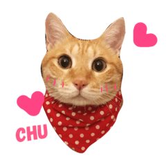 [LINEスタンプ] MeowWu