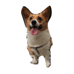 [LINEスタンプ] My three Cute dogs