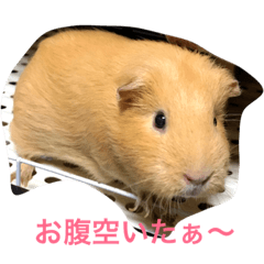 [LINEスタンプ] 日常的な出来事