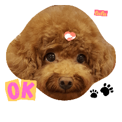[LINEスタンプ] Q Lu