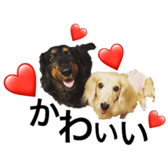 [LINEスタンプ] ふーれお♡スタンプ