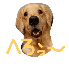[LINEスタンプ] ぶもぉぉぉ