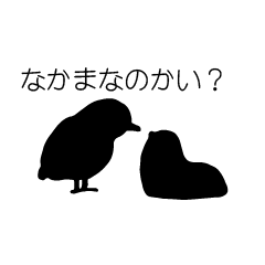 [LINEスタンプ] カラス、フクロウ、ひよこ、ハチドリなどの画像（メイン）