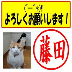 [LINEスタンプ] はんこだポン藤田様用、顔文字と猫写真付の画像（メイン）