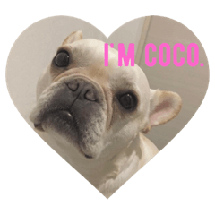 [LINEスタンプ] フレンチブルドッグCOCO