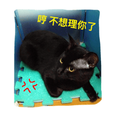 [LINEスタンプ] Qboy's daily