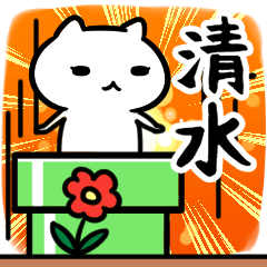 [LINEスタンプ] 清水さん専用スタンプ40個入り