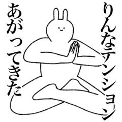 [LINEスタンプ] りんな専用！便利な名前スタンプ