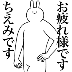 [LINEスタンプ] ちえみ専用！便利な名前スタンプ