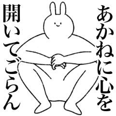 [LINEスタンプ] あかね専用！便利な名前スタンプ