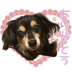 [LINEスタンプ] チョコボとチュー太