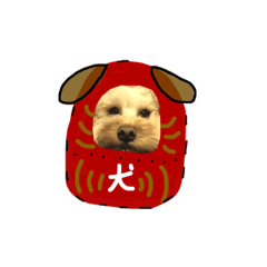 [LINEスタンプ] れもんのスタンプ